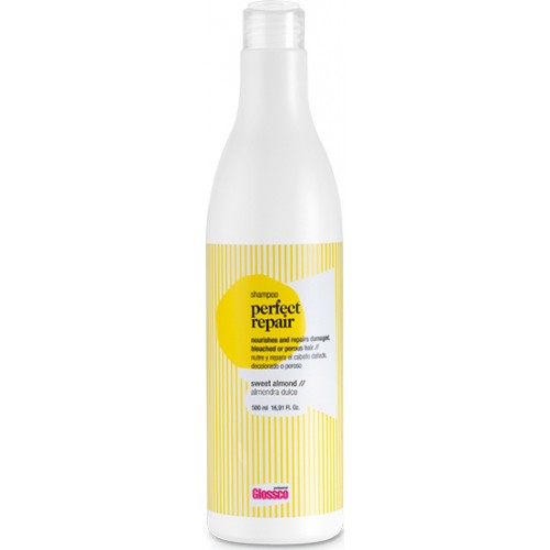 Glossco Professional Perfect Repair Shampoo 500ml